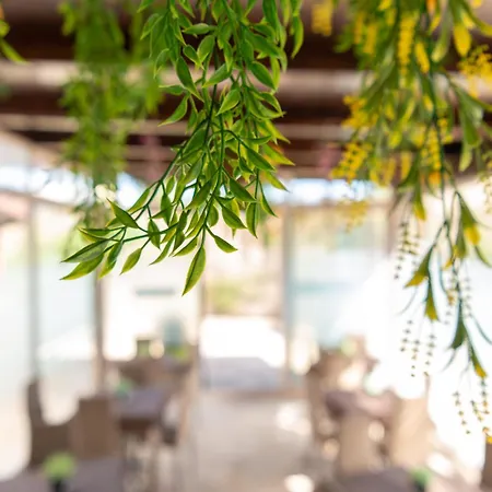 Tenuta Barone Bed & Breakfast 3*